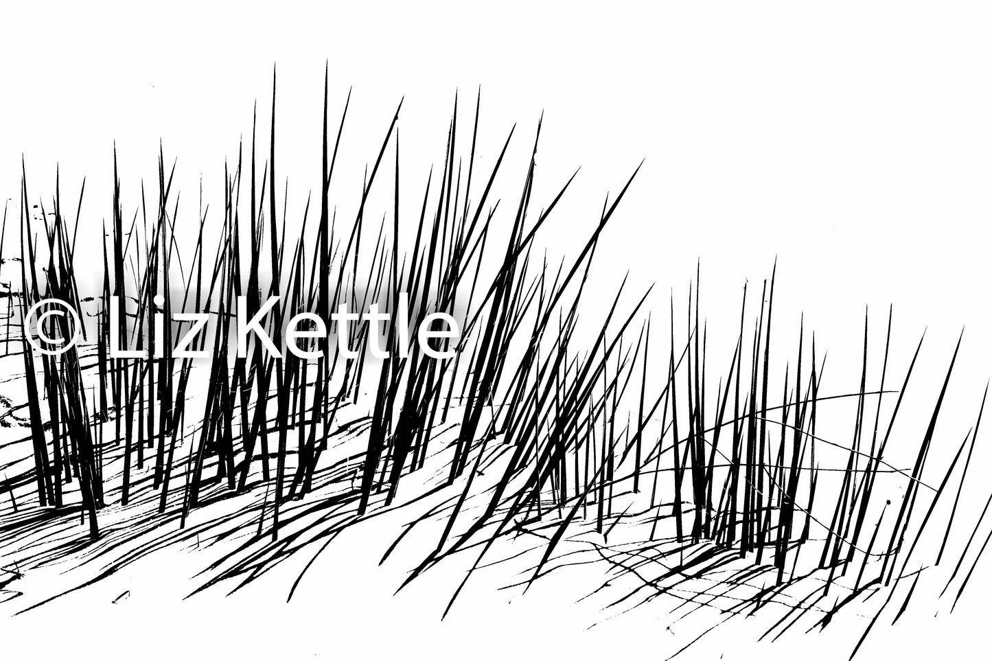 Nature Themed Thermofax Screens