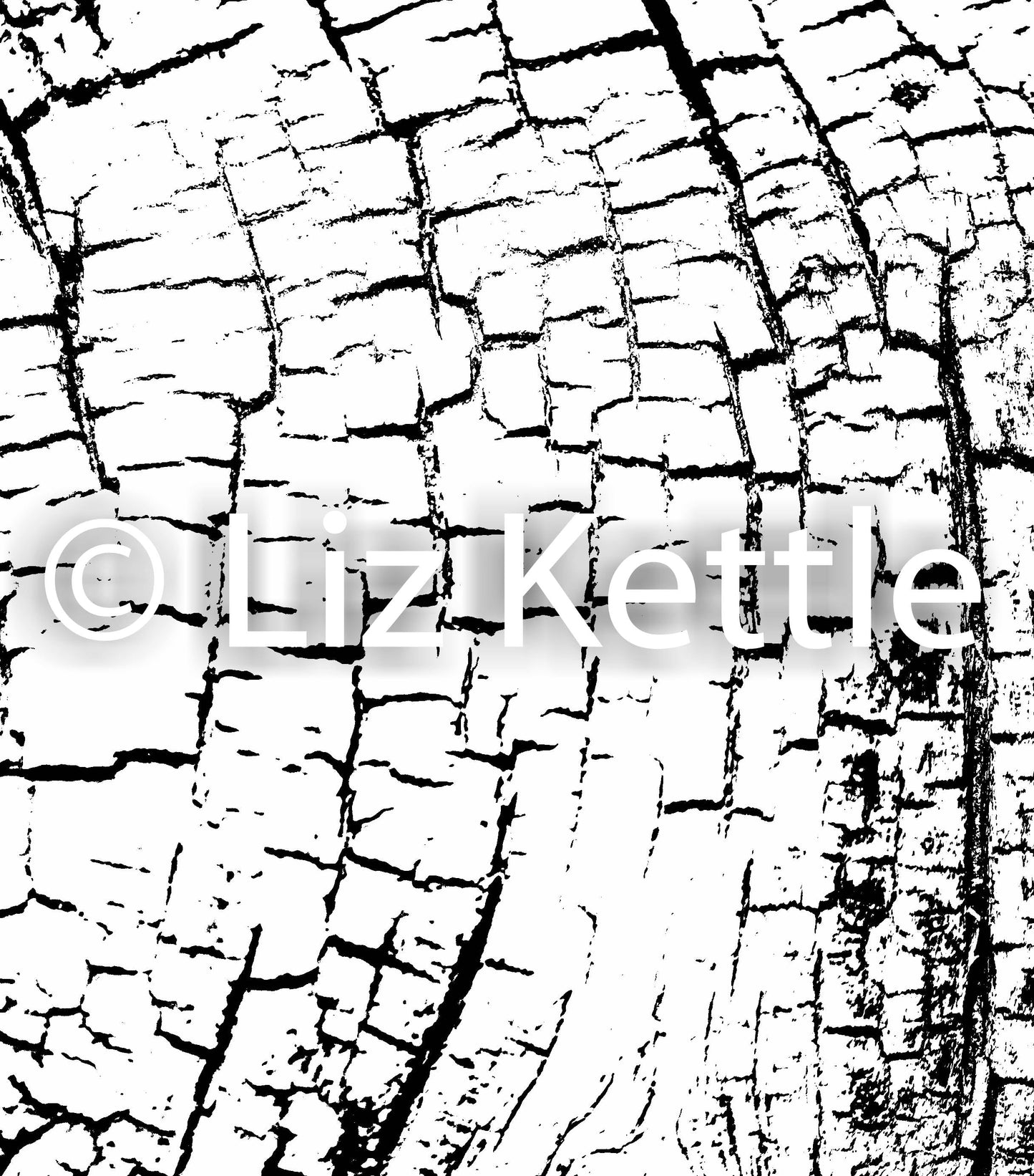 Texture Thermofax Screens