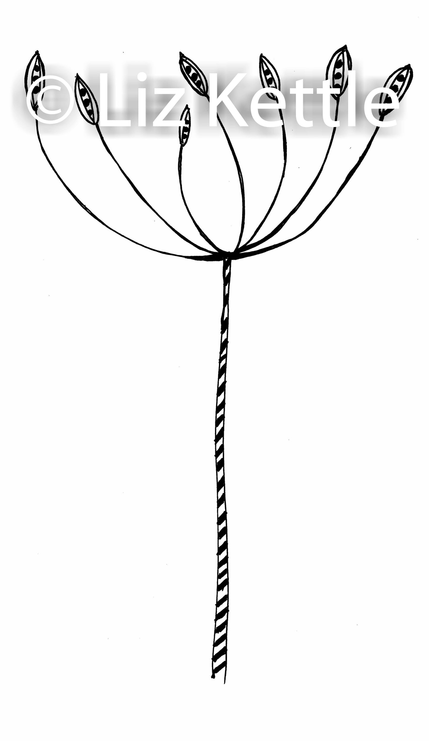 Nature Themed Thermofax Screens