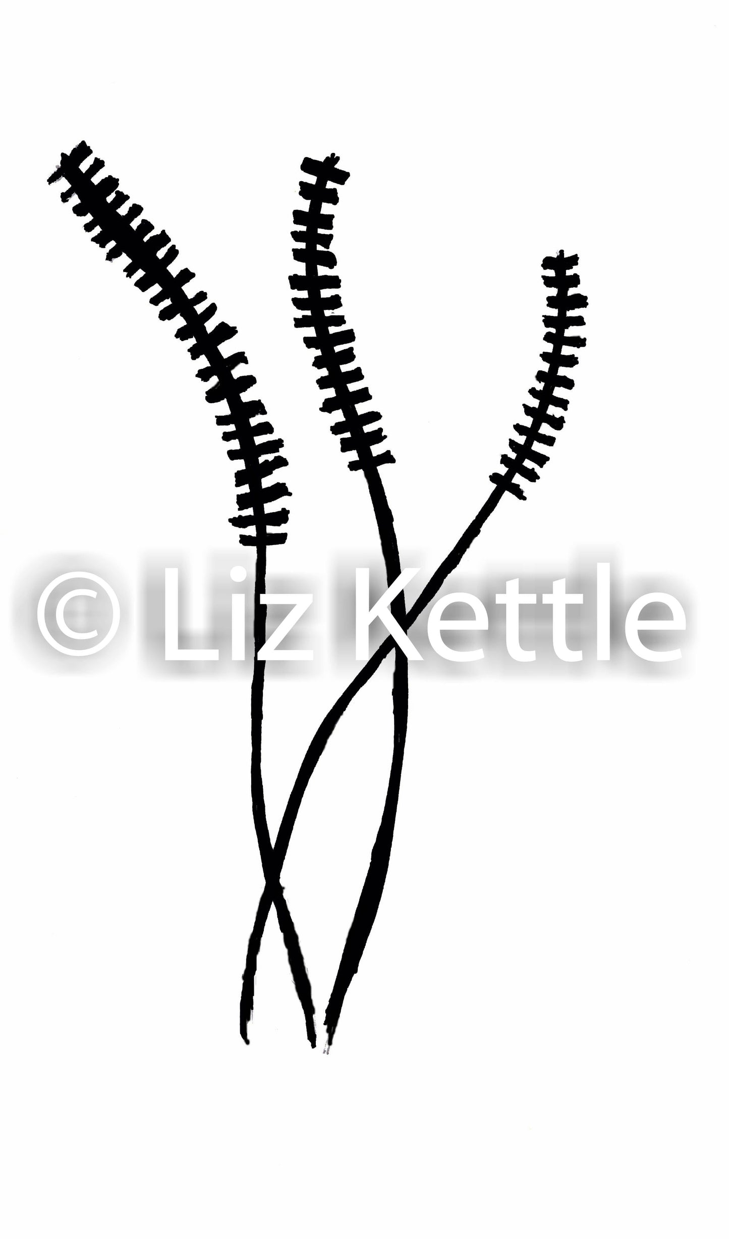 Nature Themed Thermofax Screens